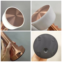 Night lamp WDL-01 juhtmevaba roosa kuld