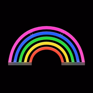 Neon LED Light RAINBOW 5 colors FLNE14X Forever Light