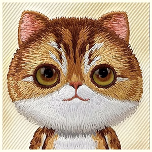 Nimmy Big Eyed Pet 2.0 Cat Ümbris jaoks iPhone 16 Pro Max - Roheline