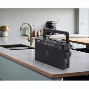 LTC portable radio SONA, Bluetooth, USB, TF, must