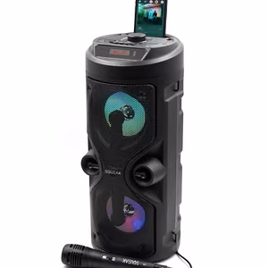 SQUEAK karaoke kõlar HARMONY BT 5.0 SQ1004