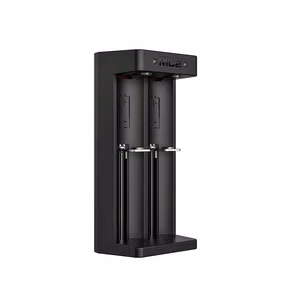 Li-ion 18650 akulaadija USB-C-ga, 2 pesa