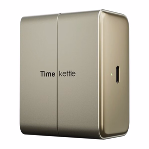 TimeKettle W4 Plus TWS tõlkekõrvaklapid, kuldsed
