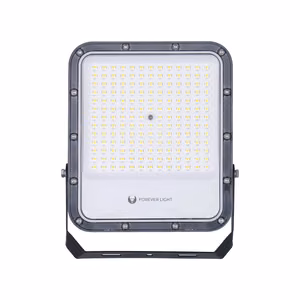 LED прожектор PROXIM+ 100W 6500K 15000lm 230V IP65 Forever Light 150lm/W гарантия 5 лет