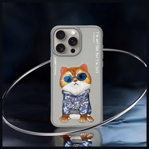 Nimmy Glasses Cool Cat чехол для iPhone 15 Pro Max - серый