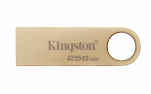 Kingston Technology DataTraveler 256GB 220MB/s metall-USB 3.2 Gen 1 SE9 G3
