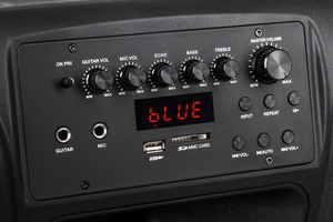 Aktiivkõlar 2 juhtmeta UHF-mikrofoniga, SD, Bluetooth, FM, USB, 60 W