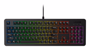 Lenovo K310 keyboard Gaming USB US English must