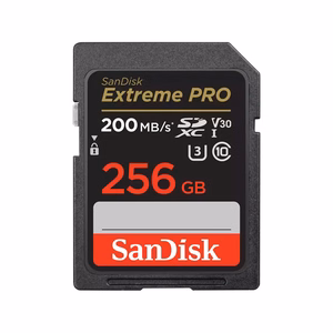 SDXC mälukaart SANDISK 256GB UHS-I SDSDXXD-256G-GN4IN