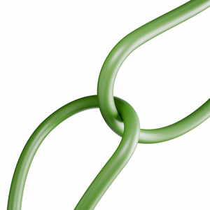 Puro ICON USB-C - USB-C cable 1.5m - green