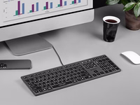 A4Tech FSTYLER FX60H (valge Backlit) keyboard USB QWERTY must, hall