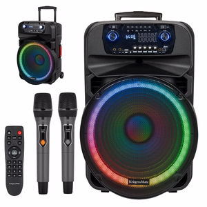 60 W aktiivkõlar 2 juhtmevaba UHF-mikrofoni, SD, Bluetoothi, FM-i, USB ja LED-iga