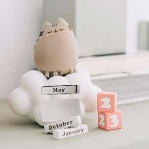 Pusheen Purrfect Love 3D igikalender