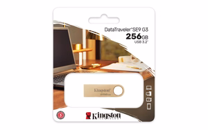 Kingston Technology DataTraveler 256GB 220MB/s metall-USB 3.2 Gen 1 SE9 G3