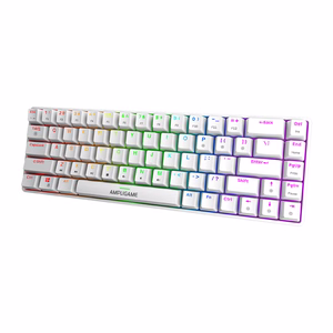 Fifine GK1W mehaaniline klaviatuur, 65% RGB (valge)
