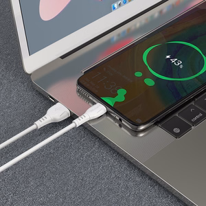 Borofone Kaabel BX51 Triumph - USB to Type C - 3A 1 metre valge