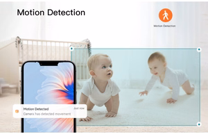 Beebimonitor Reach BM-6