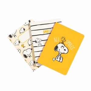 Snoopy Lazy Days A6 märkmike komplekt, 3 tk