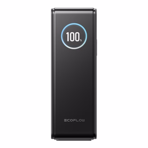 Внешний аккумулятор EcoFlow RAPID 25000 mAh, 170W