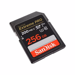 SDXC mälukaart SANDISK 256GB UHS-I SDSDXXD-256G-GN4IN