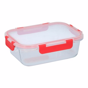 Alpina kaanega klaasist toidukarp, 21x16x6 cm, 1 L