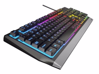 GENESIS Rhod 300 RGB keyboard Gaming USB QWERTY English must