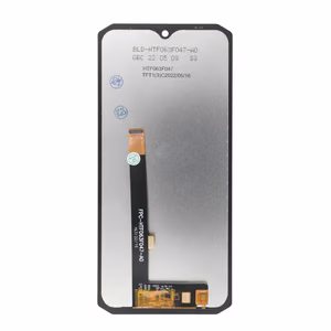 FixCell LCD Display jaoks DOOGEE S98 OEM without frame