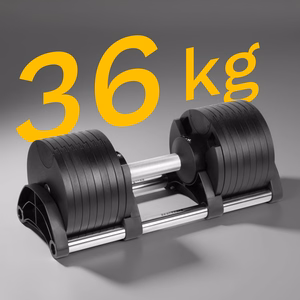 REBEL ACTIVE reguleeritav malmist hantel, 36 kg, 2 kg sammuga