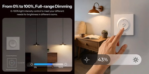 SONOFF MINI-ZBDIM-E ZigBee nutikas wall switch/dimmer