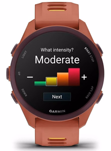 Garmin Forerunner 170 Music digitaalne GPS-nutikell puuteekraaniga 3.05 cm (1.2") AMOLED, 42 mm, 390 × 390 roosa