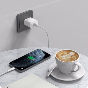 Dudao L9T 5A USB-A - USB-C Kaabel 1m - valge