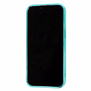 Tel Protect Magsafe Luxury Case for Iphone 11 Pro Mint