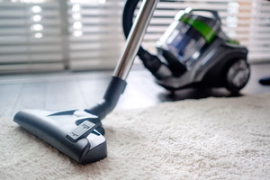 Kotita tolmuimeja TEESA VACUUM GREEN
