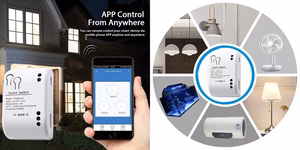 TUYA Smart Switch 1 Channel DIY Wi-Fi, RF, 10A, DC 7-32V