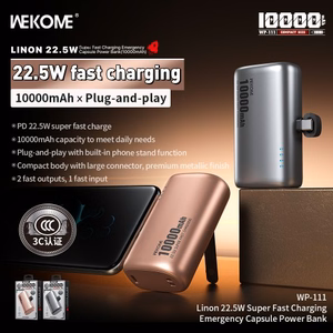 Power Bank WK Design "WP-111" Grey 10000mAh (22.5W)