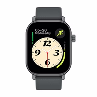 Zeblaze GTS 3 GPS smartwatch (hall)