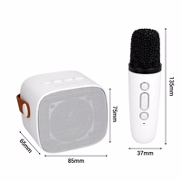 Blavec kantav Bluetooth kõlar WS-07 Karaoke Party 5W 2 mikrofoniga valge