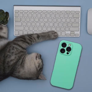 Ümbris SILICONE 2mm jaoks IPHONE 17 Air compatible koos MagSafe mündi