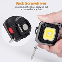 Mini flashlight LED keychain W5138 Type C koos 4 screwdriver bits and statiiv