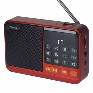 Setty mini FM radio + Bluetooth kõlar SFM-01M