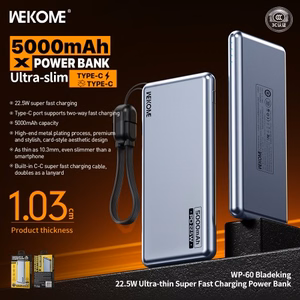 Akupank WK Design „WP-60“ sinine 5000mAh (22.5W)