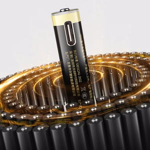 Orico Ener-G EG7C lithium battery 1.5V 500mWh AAA USB-C rechargeable battery 2 pcs.