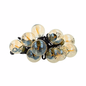 LED Bulb FL-2B E12 G40 0.5W 3V 24lm kuldne Forever Light 6pcs