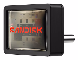 Mälupulk USB-C 256GB SanDisk SDCZ530-256G-G46