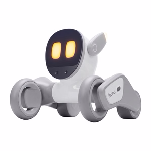Loona Premium interaktiivne robot