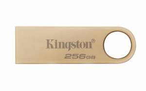Kingston Technology DataTraveler 256GB 220MB/s metall-USB 3.2 Gen 1 SE9 G3