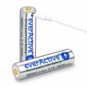 everActive 18650 3,7V Li-ion 2600 mAh aku micro USB laadimisega ja kaitsega, karp