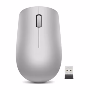 Lenovo 530 Беспроводная мышь платиново-серая