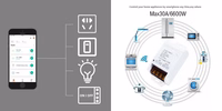 TUYA nutikas lüliti, Wi-Fi, 30A, AC 100-240V, 6600W
