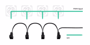 ARCTIC 4-Pin PWM Fan Splitter Kaabel